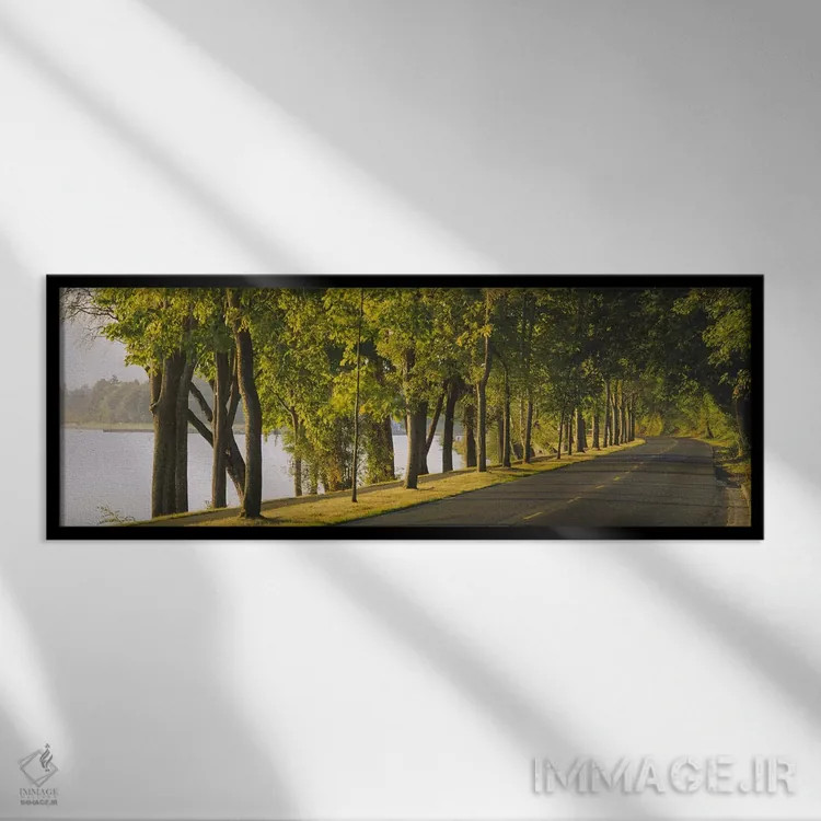 تابلو Lake Washington Boulevard, Seattle, Washington State, USA,درختان در امتداد جاده، بلوار لیک واشینگتن، سیاتل، ایالت واشینگتن، آمریکا اثر پانورامیک ایمجز (استودیو عکاسی عریض) - نمای قابدار مشکی