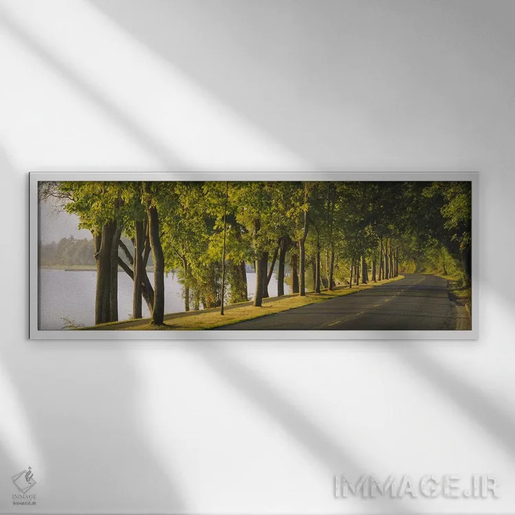 تابلو Lake Washington Boulevard, Seattle, Washington State, USA,درختان در امتداد جاده، بلوار لیک واشینگتن، سیاتل، ایالت واشینگتن، آمریکا اثر پانورامیک ایمجز (استودیو عکاسی عریض) - نمای قابدار سفید