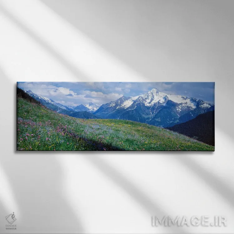 تابلو Zillertal Alps, Austria,گلهای وحشی کوهستان، آلپ زیلرتال، اتریش اثر پانورامیک ایمجز (استودیو عکاسی عریض) - نمای روبهرو روی دیوار