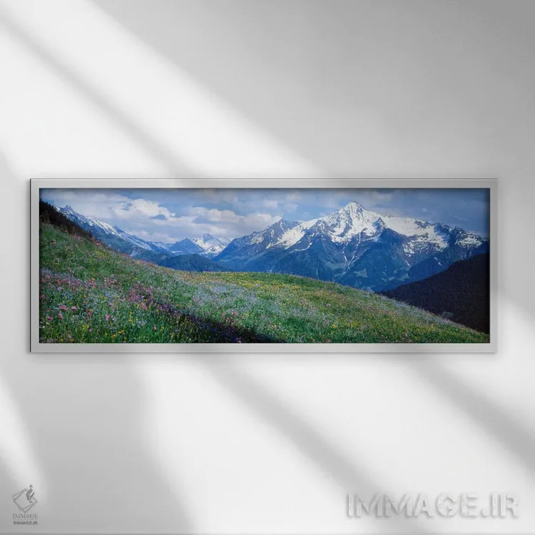 تابلو Zillertal Alps, Austria,گلهای وحشی کوهستان، آلپ زیلرتال، اتریش اثر پانورامیک ایمجز (استودیو عکاسی عریض) - نمای قابدار سفید