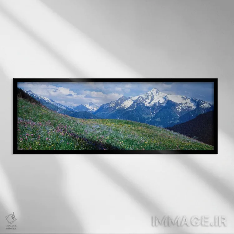 تابلو Zillertal Alps, Austria,گلهای وحشی کوهستان، آلپ زیلرتال، اتریش اثر پانورامیک ایمجز (استودیو عکاسی عریض) - نمای قابدار مشکی