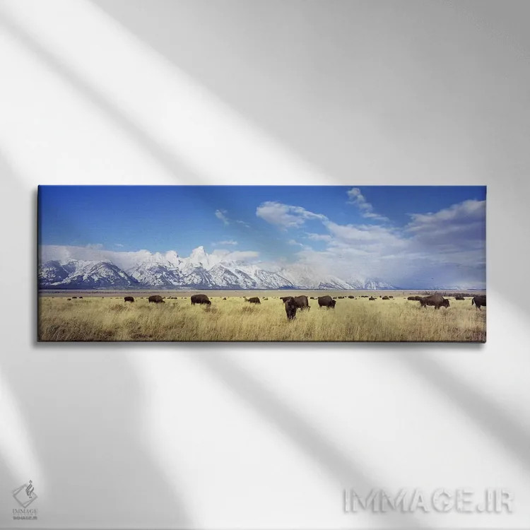 تابلو Grand Teton National Park, Wyoming, USA,گله بوفالو، پارک ملی گرند تتون، وایومینگ، آمریکا اثر پانورامیک ایمجز (استودیو عکاسی عریض) - نمای روبهرو روی دیوار