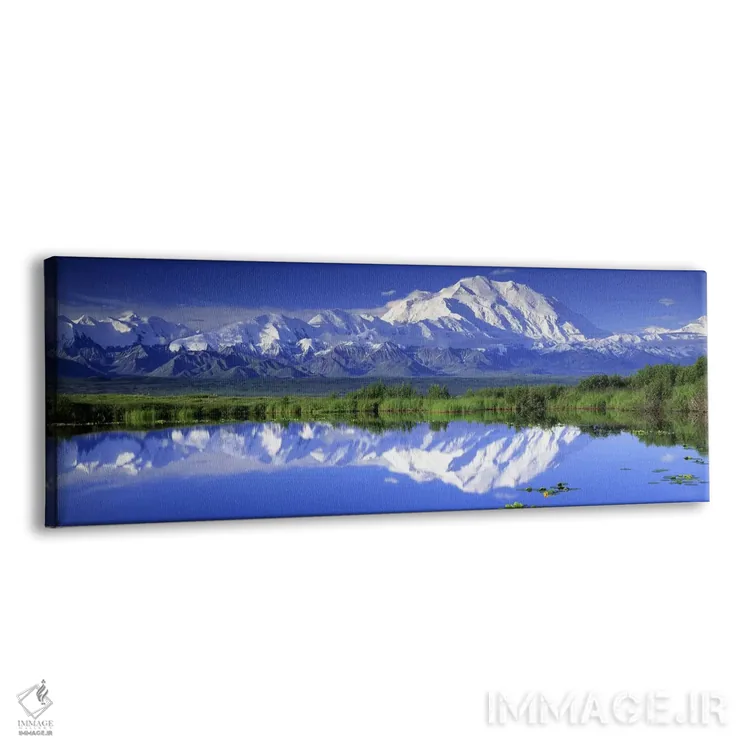 تابلو Denali National Park & Preserve, Alaska, USA,دنالی (کوه مککینلی)، پارک ملی دنالی، آلاسکا، آمریکا اثر پانورامیک ایمجز (استودیو عکاسی عریض) - نمای پرسپکتیو محصول