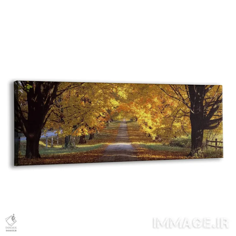 تابلو Baltimore County, Maryland, USA,جاده، شهرستان بالتیمور، مریلند، آمریکا اثر پانورامیک ایمجز (استودیو عکاسی عریض) - نمای پرسپکتیو محصول