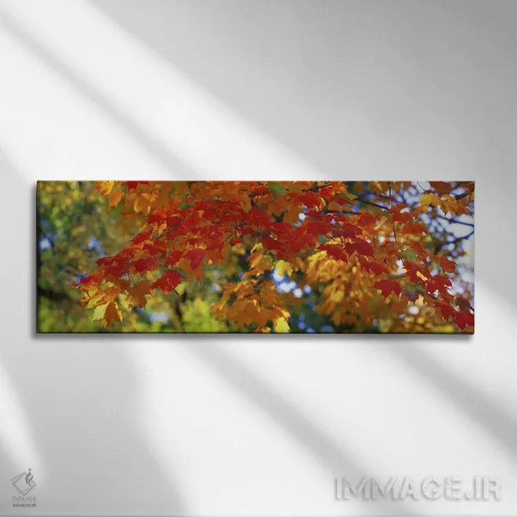 تابلو Guilford, Baltimore City, Maryland, USA,رنگهای پاییزی، گیلفورد، بالتیمور، مریلند، آمریکا اثر پانورامیک ایمجز (استودیو عکاسی عریض) - نمای روبهرو روی دیوار