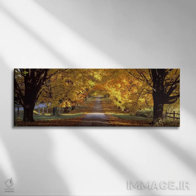 تابلو Baltimore County, Maryland, USA,جاده، شهرستان بالتیمور، مریلند، آمریکا اثر پانورامیک ایمجز (استودیو عکاسی عریض) - نمای روبهرو روی دیوار