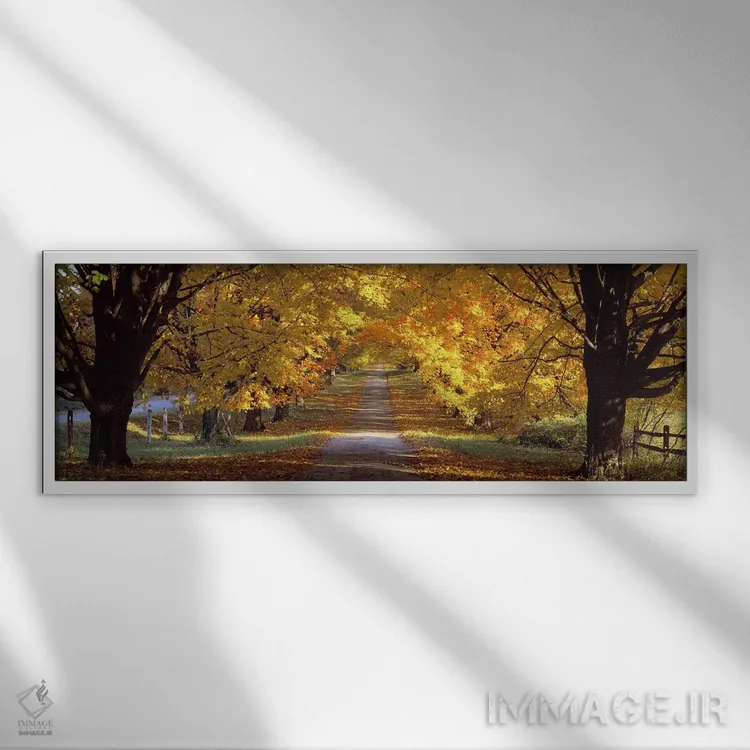 تابلو Baltimore County, Maryland, USA,جاده، شهرستان بالتیمور، مریلند، آمریکا اثر پانورامیک ایمجز (استودیو عکاسی عریض) - نمای قابدار سفید