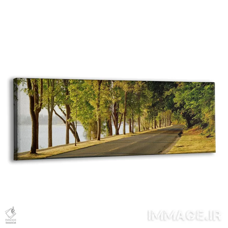 تابلو Lake Washington Boulevard, Seattle, Washington State, USA,درختان در دو طرف جاده، بولوار دریاچه واشنگتن، سیاتل، واشنگتن، آمریکا اثر پانورامیک ایمجز (استودیو عکاسی عریض) - نمای پرسپکتیو محصول