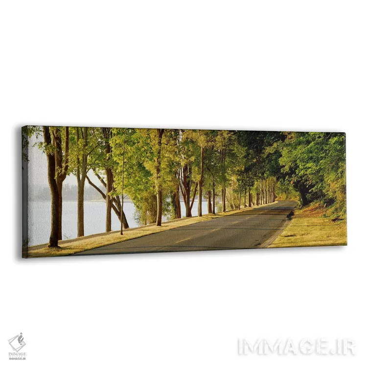 تابلو Lake Washington Boulevard, Seattle, Washington State, USA,درختان در دو طرف جاده، بولوار دریاچه واشنگتن، سیاتل، واشنگتن، آمریکا اثر پانورامیک ایمجز (استودیو عکاسی عریض) - نمای پرسپکتیو محصول