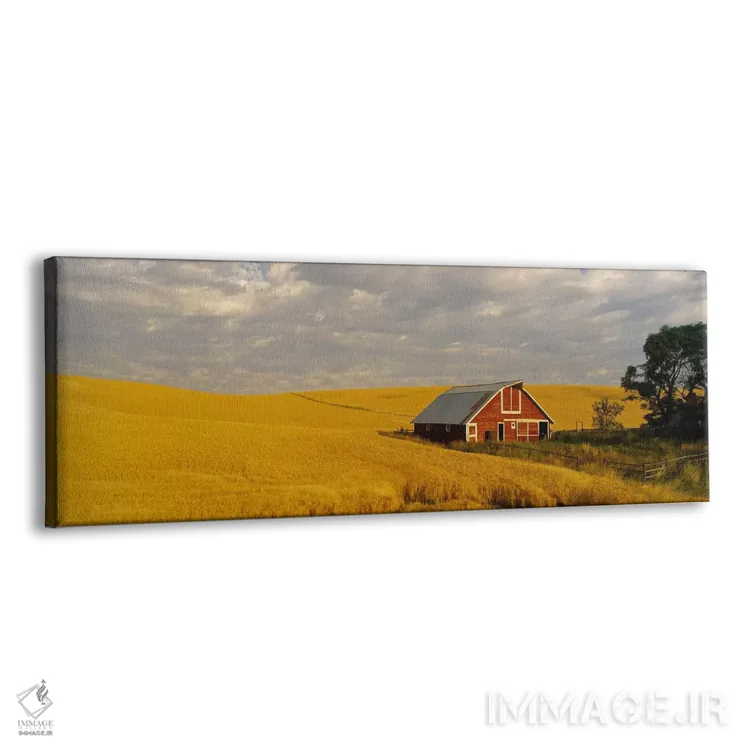 تابلو Palouse, Washington State, USA,انبار کشاورزی در مزرعه گندم، پلووز، واشنگتن، آمریکا اثر پانورامیک ایمجز (استودیو عکاسی عریض) - نمای پرسپکتیو محصول