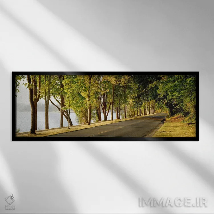 تابلو Lake Washington Boulevard, Seattle, Washington State, USA,درختان در دو طرف جاده، بولوار دریاچه واشنگتن، سیاتل، واشنگتن، آمریکا اثر پانورامیک ایمجز (استودیو عکاسی عریض) - نمای قابدار مشکی