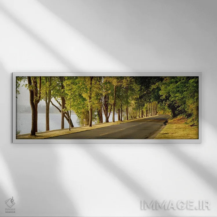 تابلو Lake Washington Boulevard, Seattle, Washington State, USA,درختان در دو طرف جاده، بولوار دریاچه واشنگتن، سیاتل، واشنگتن، آمریکا اثر پانورامیک ایمجز (استودیو عکاسی عریض) - نمای قابدار سفید
