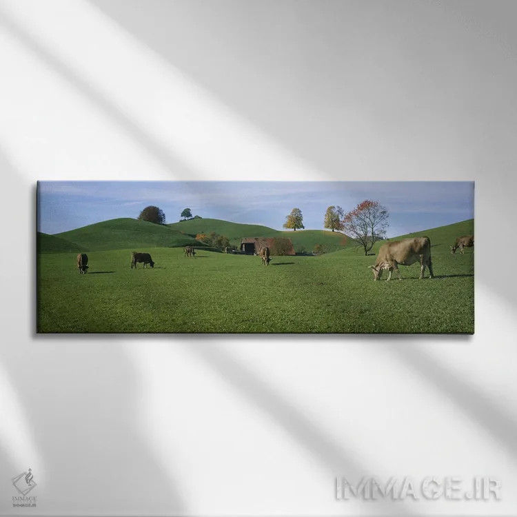 تابلو Canton Of Zug, Switzerland,گاوها در حال چرا در مزرعه، کانتون زوگ، سوئیس اثر پانورامیک ایمجز (استودیو عکاسی عریض) - نمای روبهرو روی دیوار