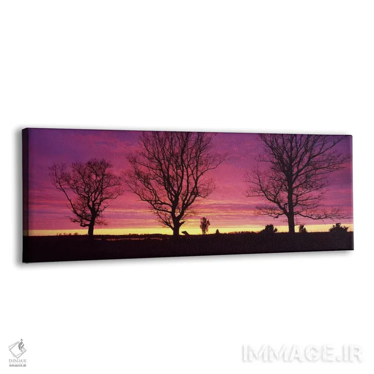 تابلو Sunset, Sweden,درختان بلوط در غروب، سوئد اثر پانورامیک ایمجز (استودیو عکاسی عریض) - نمای پرسپکتیو محصول