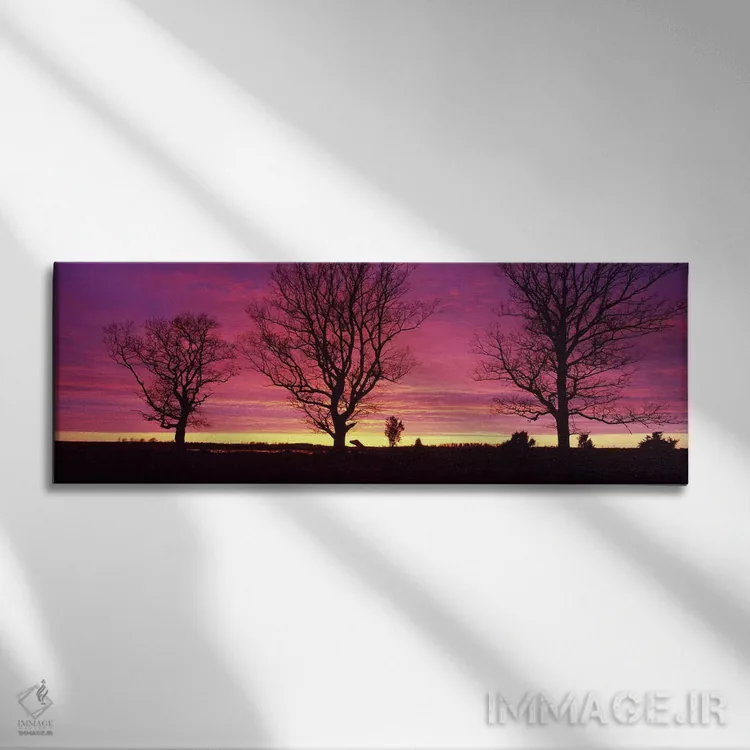 تابلو Sunset, Sweden,درختان بلوط در غروب، سوئد اثر پانورامیک ایمجز (استودیو عکاسی عریض) - نمای روبهرو روی دیوار