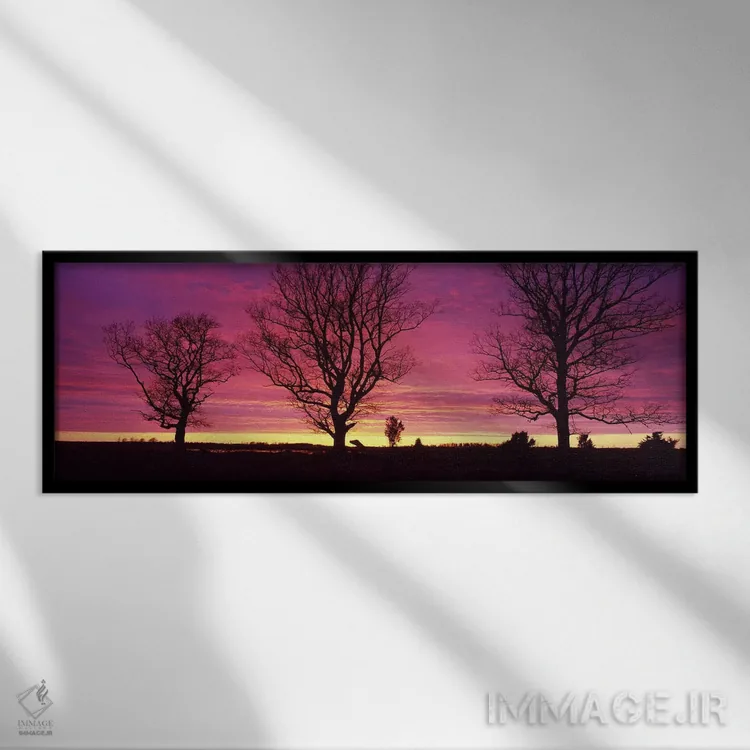 تابلو Sunset, Sweden,درختان بلوط در غروب، سوئد اثر پانورامیک ایمجز (استودیو عکاسی عریض) - نمای قابدار مشکی