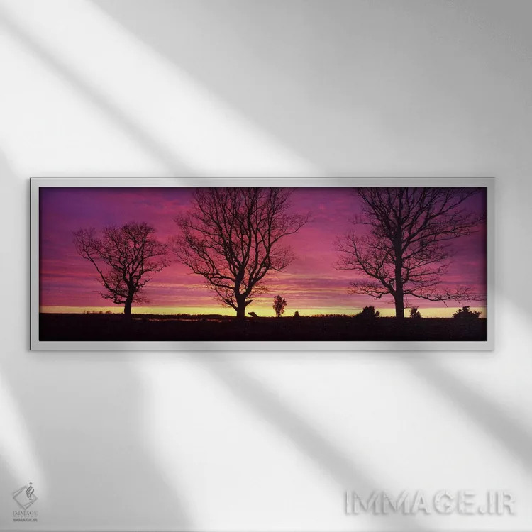 تابلو Sunset, Sweden,درختان بلوط در غروب، سوئد اثر پانورامیک ایمجز (استودیو عکاسی عریض) - نمای قابدار سفید