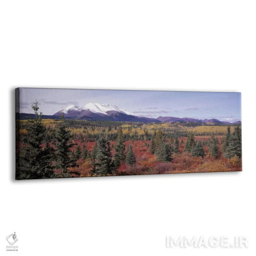 تابلو Yukon Territory, Canada,چشمانداز جنگلی، قلمرو یوکان، کانادا اثر پانورامیک ایمجز (استودیو عکاسی عریض) - نمای پرسپکتیو محصول