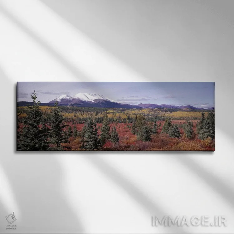 تابلو Yukon Territory, Canada,چشمانداز جنگلی، قلمرو یوکان، کانادا اثر پانورامیک ایمجز (استودیو عکاسی عریض) - نمای روبهرو روی دیوار