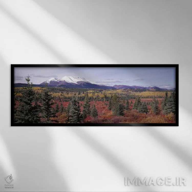 تابلو Yukon Territory, Canada,چشمانداز جنگلی، قلمرو یوکان، کانادا اثر پانورامیک ایمجز (استودیو عکاسی عریض) - نمای قابدار مشکی