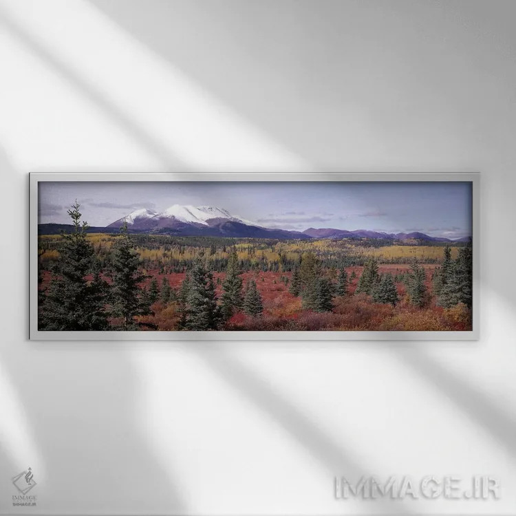 تابلو Yukon Territory, Canada,چشمانداز جنگلی، قلمرو یوکان، کانادا اثر پانورامیک ایمجز (استودیو عکاسی عریض) - نمای قابدار سفید