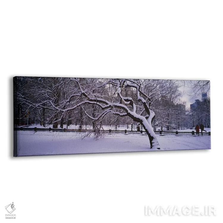 تابلو Central Park, New York City, New York state, USA,درختان پوشیده از برف در پارک، سنترال پارک، نیویورک سیتی، ایالت نیویورک، آمریکا اثر پانورامیک ایمجز (استودیو عکاسی عریض) - نمای پرسپکتیو محصول