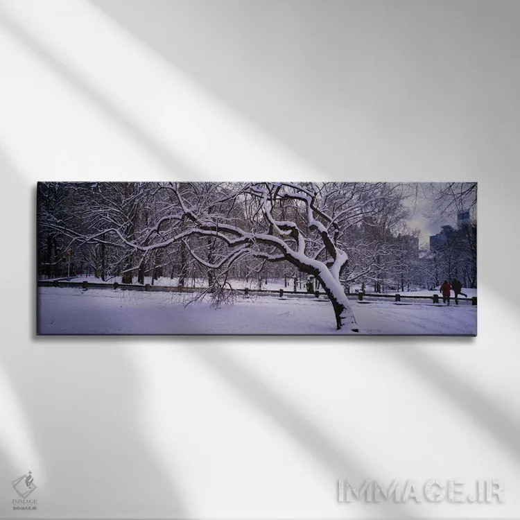 تابلو Central Park, New York City, New York state, USA,درختان پوشیده از برف در پارک، سنترال پارک، نیویورک سیتی، ایالت نیویورک، آمریکا اثر پانورامیک ایمجز (استودیو عکاسی عریض) - نمای روبهرو روی دیوار