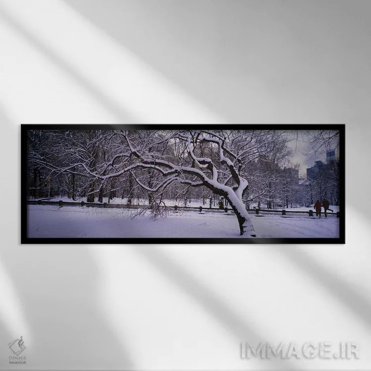 تابلو Central Park, New York City, New York state, USA,درختان پوشیده از برف در پارک، سنترال پارک، نیویورک سیتی، ایالت نیویورک، آمریکا اثر پانورامیک ایمجز (استودیو عکاسی عریض) - نمای قابدار مشکی