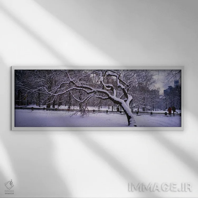 تابلو Central Park, New York City, New York state, USA,درختان پوشیده از برف در پارک، سنترال پارک، نیویورک سیتی، ایالت نیویورک، آمریکا اثر پانورامیک ایمجز (استودیو عکاسی عریض) - نمای قابدار سفید