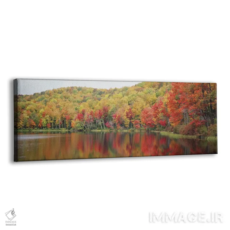 تابلو Savoy Mountain State Forest, Massachusetts, USA,چشمانداز پاییزی، جنگل ایالتی ساووی، ماساچوست، آمریکا اثر پانورامیک ایمجز (استودیو عکاسی عریض) - نمای پرسپکتیو محصول