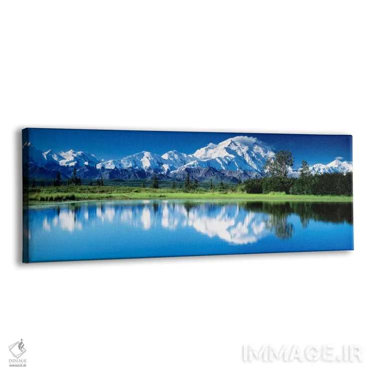 تابلو پارک ملی دنالی آلاسکا آمریکا اثر پانورامیک ایمجز (استودیو عکاسی عریض) - نمای پرسپکتیو محصول