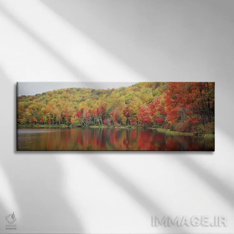 تابلو Savoy Mountain State Forest, Massachusetts, USA,چشمانداز پاییزی، جنگل ایالتی ساووی، ماساچوست، آمریکا اثر پانورامیک ایمجز (استودیو عکاسی عریض) - نمای روبهرو روی دیوار