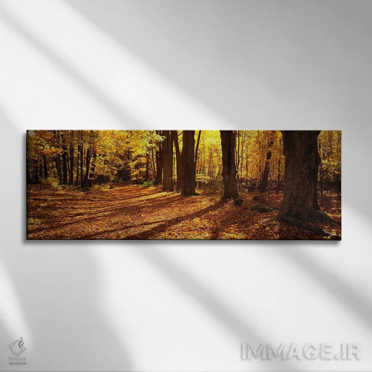 تابلو Massachusetts, USA,جاده با درختان دوطرفه، ماساچوست، آمریکا اثر پانورامیک ایمجز (استودیو عکاسی عریض) - نمای روبهرو روی دیوار