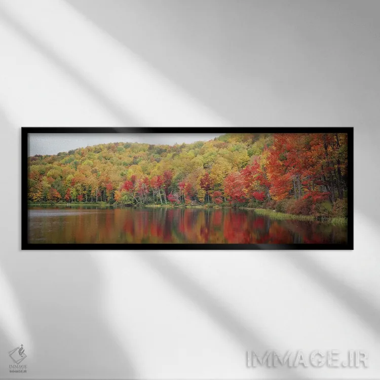 تابلو Savoy Mountain State Forest, Massachusetts, USA,چشمانداز پاییزی، جنگل ایالتی ساووی، ماساچوست، آمریکا اثر پانورامیک ایمجز (استودیو عکاسی عریض) - نمای قابدار مشکی