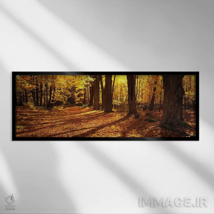 تابلو Massachusetts, USA,جاده با درختان دوطرفه، ماساچوست، آمریکا اثر پانورامیک ایمجز (استودیو عکاسی عریض) - نمای قابدار مشکی