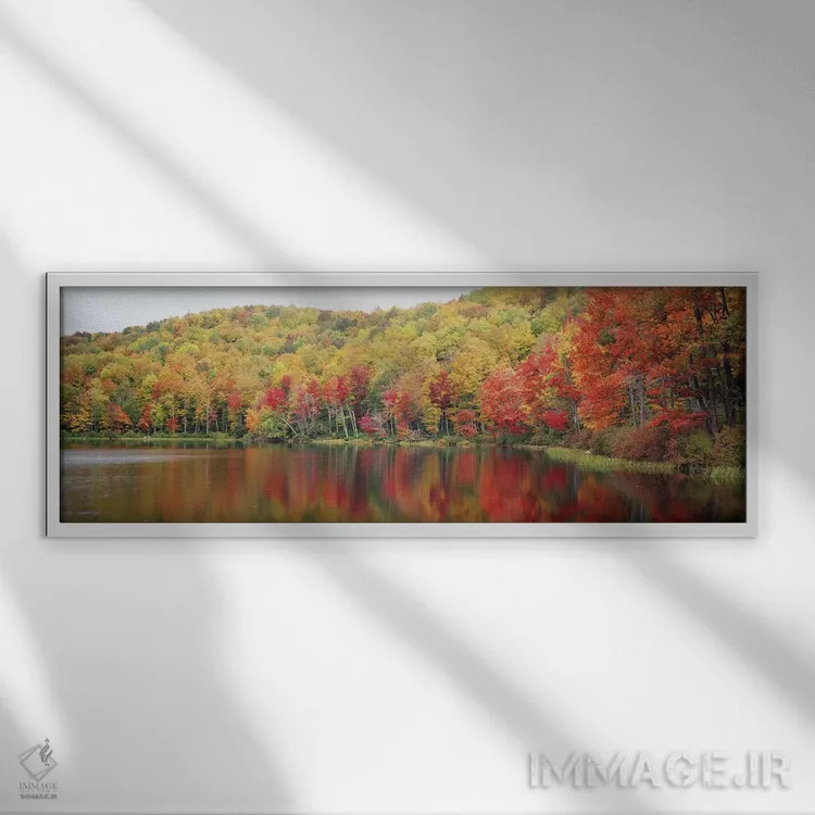 تابلو Savoy Mountain State Forest, Massachusetts, USA,چشمانداز پاییزی، جنگل ایالتی ساووی، ماساچوست، آمریکا اثر پانورامیک ایمجز (استودیو عکاسی عریض) - نمای قابدار سفید