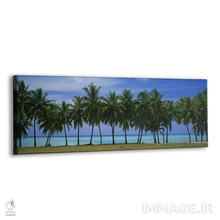 تابلو درختان نخل و تالاب آیتوتاکی، جزایر کوک اثر پانورامیک ایمجز (استودیو عکاسی عریض) - نمای پرسپکتیو محصول