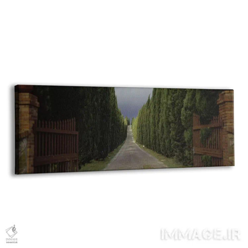 تابلو Tuscany Region, Italy,,جاده روستایی با درختان، منطقه توسکانی، ایتالیا اثر پانورامیک ایمجز (استودیو عکاسی عریض) - نمای پرسپکتیو محصول