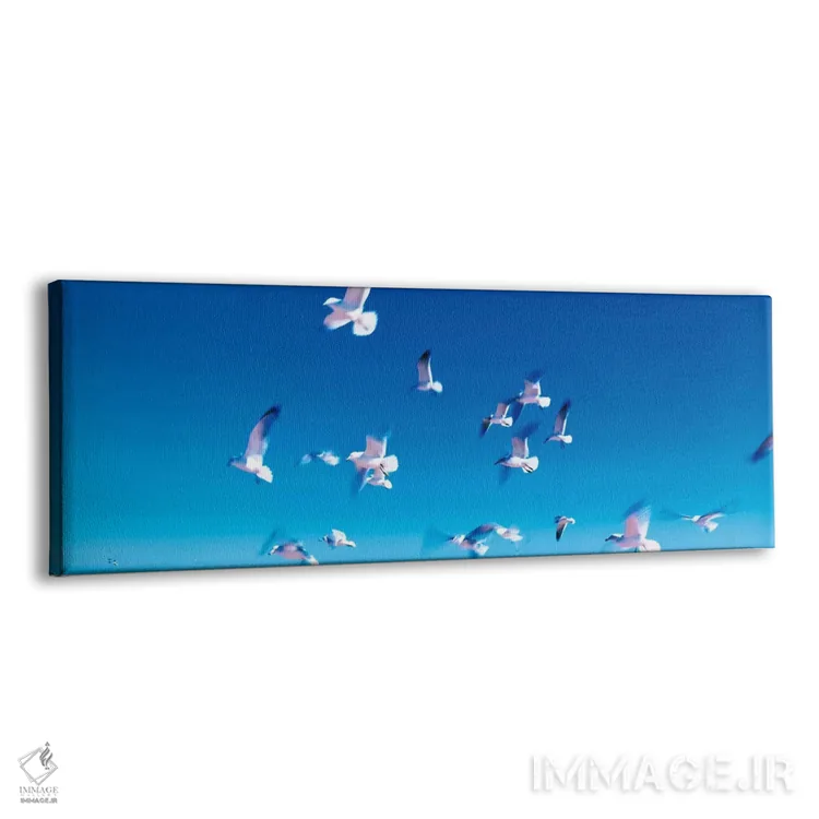 تابلو پرندگان در حال پرواز، ساحل فلاگلر، فلوریدا، آمریکا اثر پانورامیک ایمجز (استودیو عکاسی عریض) - نمای پرسپکتیو محصول