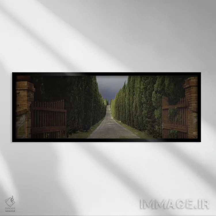 تابلو Tuscany Region, Italy,,جاده روستایی با درختان، منطقه توسکانی، ایتالیا اثر پانورامیک ایمجز (استودیو عکاسی عریض) - نمای قابدار مشکی