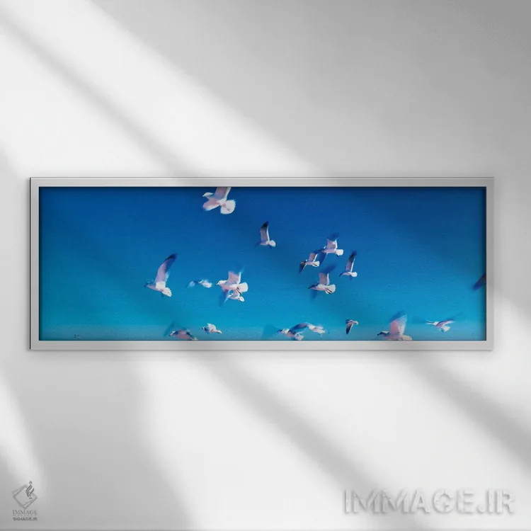تابلو پرندگان در حال پرواز، ساحل فلاگلر، فلوریدا، آمریکا اثر پانورامیک ایمجز (استودیو عکاسی عریض) - نمای قابدار سفید