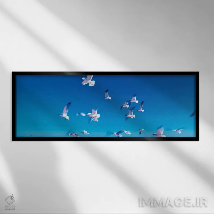 تابلو پرندگان در حال پرواز، ساحل فلاگلر، فلوریدا، آمریکا اثر پانورامیک ایمجز (استودیو عکاسی عریض) - نمای قابدار مشکی