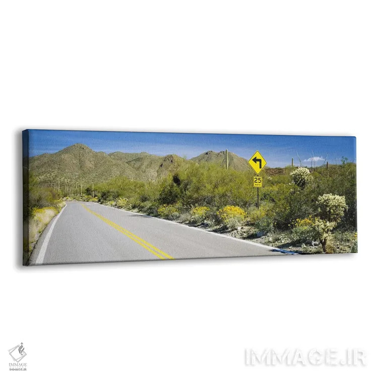 تابلو Tucson Mountain Park, Tucson, Arizona, USA,تابلوی راهنمایی کنار جاده، جاده مککین لوپ، پارک کوهستانی توسان، آریزونا، آمریکا اثر پانورامیک ایمجز (استودیو عکاسی عریض) - نمای پرسپکتیو محصول