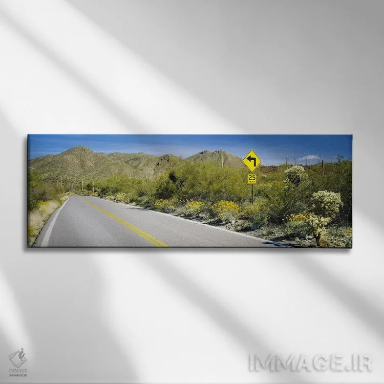 تابلو Tucson Mountain Park, Tucson, Arizona, USA,تابلوی راهنمایی کنار جاده، جاده مککین لوپ، پارک کوهستانی توسان، آریزونا، آمریکا اثر پانورامیک ایمجز (استودیو عکاسی عریض) - نمای روبهرو روی دیوار