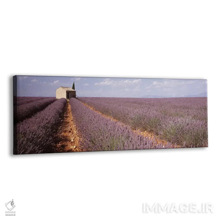 تابلو Valensole, Provence-Alpes-Cote d'Azur, France,ساختمان تنها در مزرعه اسطوخودوس، والانسل، پروونس-آلپ-کوت دازور، فرانسه اثر پانورامیک ایمجز (استودیو عکاسی عریض) - نمای پرسپکتیو محصول