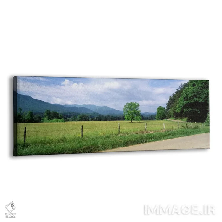 تابلو Cades Cove, Great Smoky Mountains National Park, Tennessee, USA,چشمانداز دره، کیدز کوو، پارک ملی کوههای اسموکی بزرگ، تنسی، آمریکا اثر پانورامیک ایمجز (استودیو عکاسی عریض) - نمای پرسپکتیو محصول