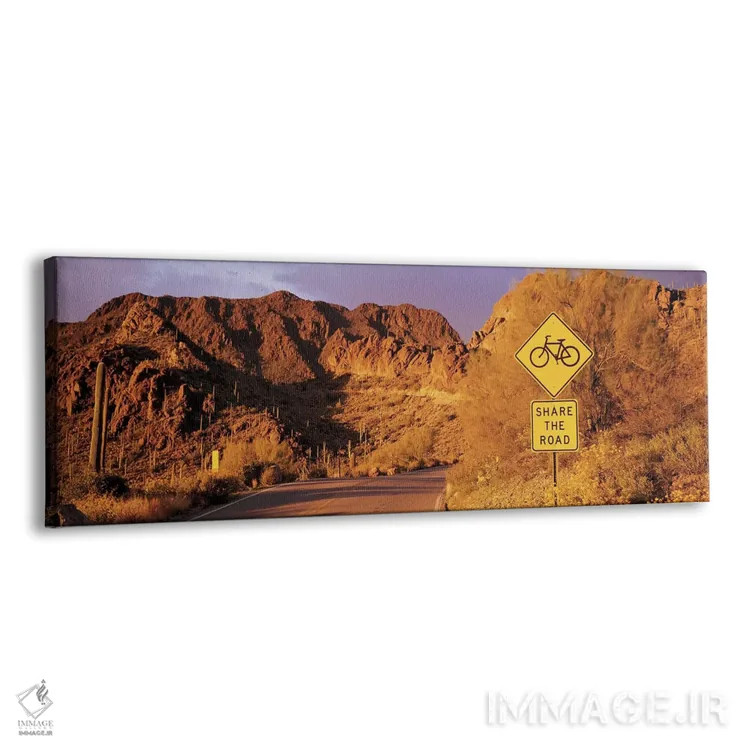 تابلو جاده گیتس پس، پارک کوهستانی توسان، آریزونا، آمریکا اثر پانورامیک ایمجز (استودیو عکاسی عریض) - نمای پرسپکتیو محصول