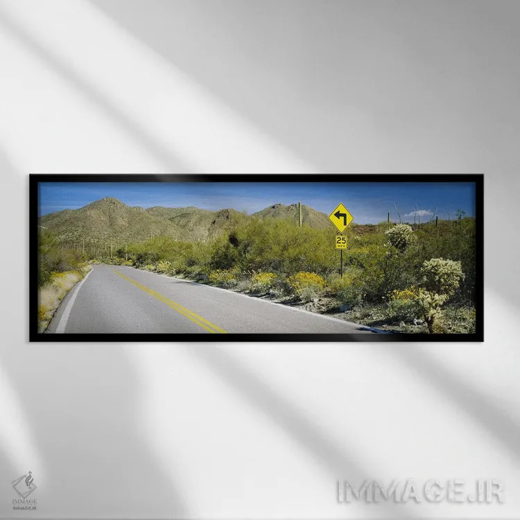 تابلو Tucson Mountain Park, Tucson, Arizona, USA,تابلوی راهنمایی کنار جاده، جاده مککین لوپ، پارک کوهستانی توسان، آریزونا، آمریکا اثر پانورامیک ایمجز (استودیو عکاسی عریض) - نمای قابدار مشکی