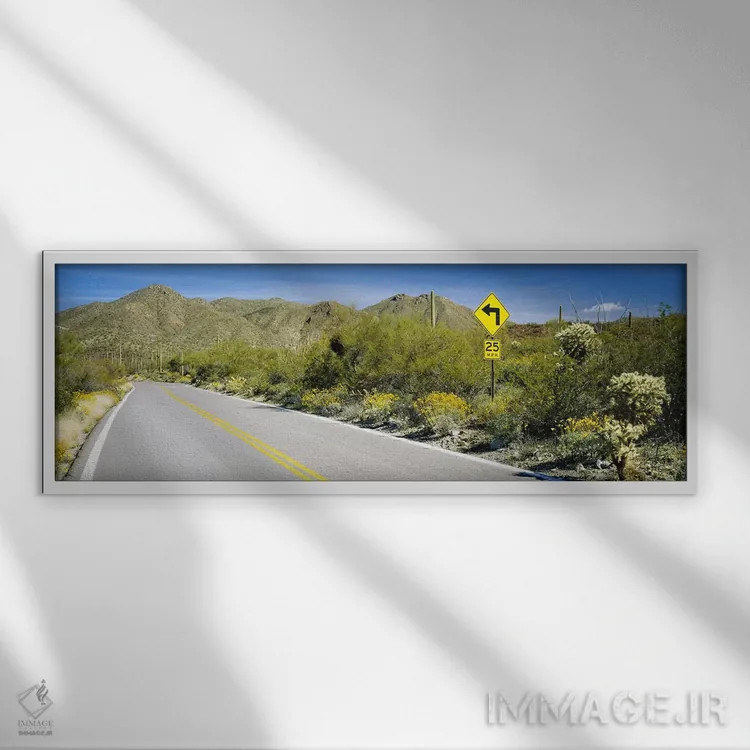 تابلو Tucson Mountain Park, Tucson, Arizona, USA,تابلوی راهنمایی کنار جاده، جاده مککین لوپ، پارک کوهستانی توسان، آریزونا، آمریکا اثر پانورامیک ایمجز (استودیو عکاسی عریض) - نمای قابدار سفید