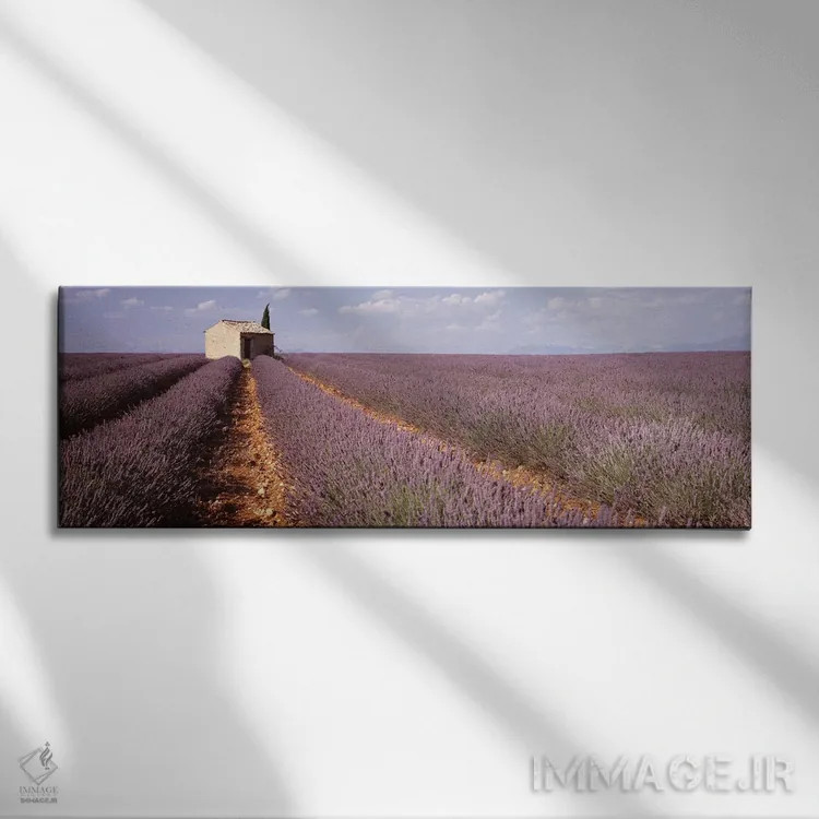 تابلو Valensole, Provence-Alpes-Cote d'Azur, France,ساختمان تنها در مزرعه اسطوخودوس، والانسل، پروونس-آلپ-کوت دازور، فرانسه اثر پانورامیک ایمجز (استودیو عکاسی عریض) - نمای روبهرو روی دیوار